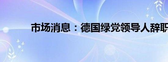 市场消息：德国绿党领导人辞职