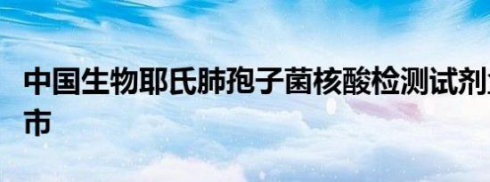中国生物耶氏肺孢子菌核酸检测试剂盒获批上市