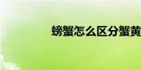 螃蟹怎么区分蟹黄和蟹屎