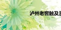 泸州老窖触及涨停