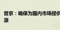 普京：确保为国内市场提供可负担且廉价的能源