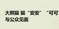 大熊猫 猫“安安”“可可”抵抵达香港12月与公众见面