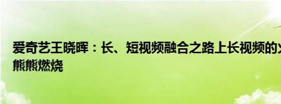 爱奇艺王晓晖：长、短视频融合之路上长视频的火焰依然在熊熊燃烧