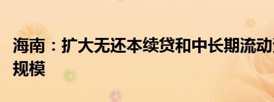 海南：扩大无还本续贷和中长期流动资金贷款规模