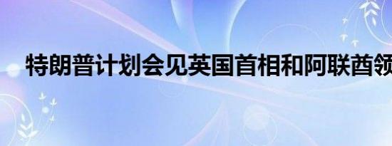 特朗普计划会见英国首相和阿联酋领导人
