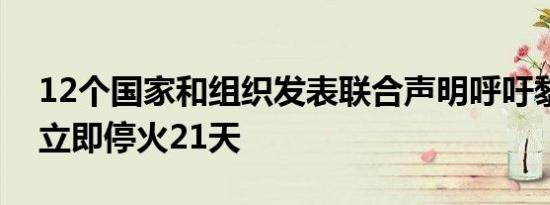 12个国家和组织发表联合声明呼吁黎以边境立即停火21天