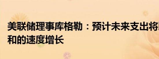 美联储理事库格勒：预计未来支出将以更加温和的速度增长