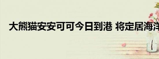 大熊猫安安可可今日到港 将定居海洋公园
