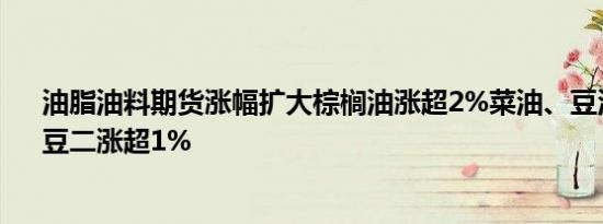油脂油料期货涨幅扩大棕榈油涨超2%菜油、豆油、菜粕、豆二涨超1%