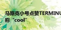 马斯克小号点赞TERMINUS社区成员的推文称“cool”