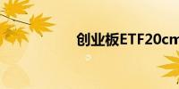 创业板ETF20cm涨停