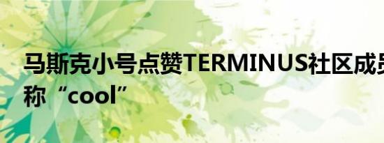 马斯克小号点赞TERMINUS社区成员的推文称“cool”