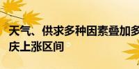 天气、供求多种因素叠加多地蔬菜价格进入节庆上涨区间