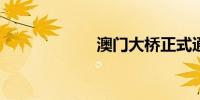 澳门大桥正式通车