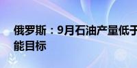 俄罗斯：9月石油产量低于OPEC+设定的产能目标