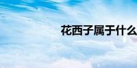 花西子属于什么档次