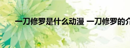 一刀修罗是什么动漫 一刀修罗的介绍