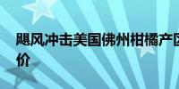 飓风冲击美国佛州柑橘产区 全球橙汁或将涨价