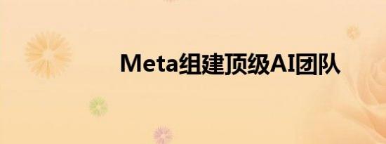 Meta组建顶级AI团队