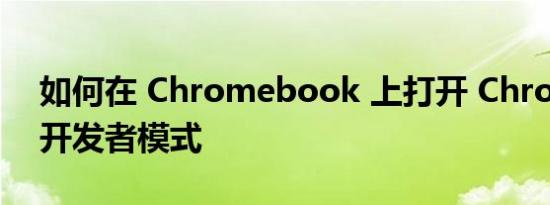 如何在 Chromebook 上打开 ChromeOS 开发者模式