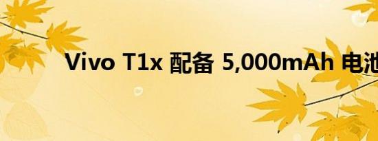 Vivo T1x 配备 5,000mAh 电池