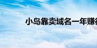 小岛靠卖域名一年赚得超2亿元