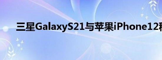 三星GalaxyS21与苹果iPhone12称重