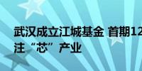 武汉成立江城基金 首期120亿元耐心资本专注“芯”产业