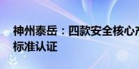 神州泰岳：四款安全核心产品通过IPv6国际标准认证