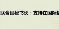 联合国秘书长：支持在国际热点地区实现和平