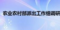 农业农村部派出工作组调研指导秋冬种生产