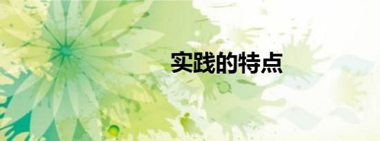实践的特点