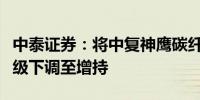 中泰证券：将中复神鹰碳纤维股份有限公司评级下调至增持