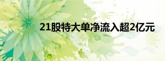 21股特大单净流入超2亿元 
