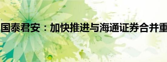 国泰君安：加快推进与海通证券合并重组进度