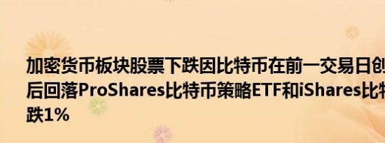 加密货币板块股票下跌因比特币在前一交易日创下历史新高后回落ProShares比特币策略ETF和iShares比特币信托均下跌1%