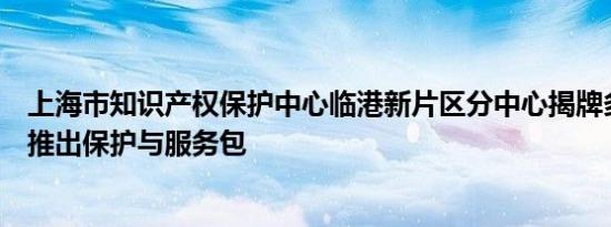 上海市知识产权保护中心临港新片区分中心揭牌多部门共同推出保护与服务包