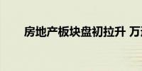 房地产板块盘初拉升 万通发展5连板