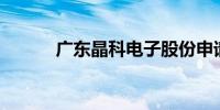 广东晶科电子股份申请香港IPO