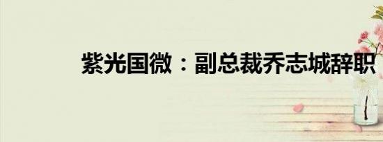 紫光国微：副总裁乔志城辞职