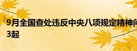 9月全国查处违反中央八项规定精神问题22313起
