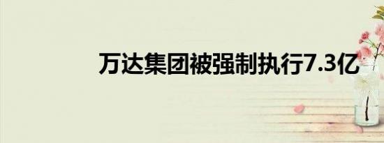 万达集团被强制执行7.3亿