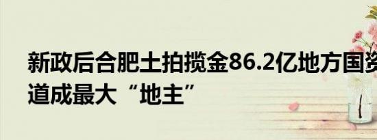 新政后合肥土拍揽金86.2亿地方国资合肥轨道成最大“地主”