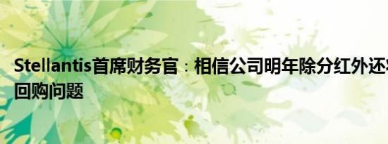 Stellantis首席财务官∶相信公司明年除分红外还将讨论股票回购问题