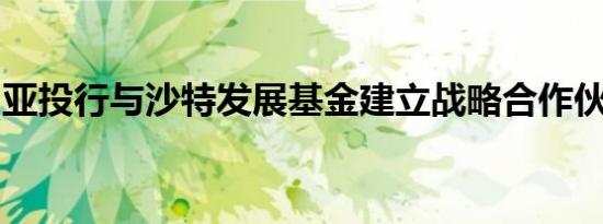 亚投行与沙特发展基金建立战略合作伙伴关系