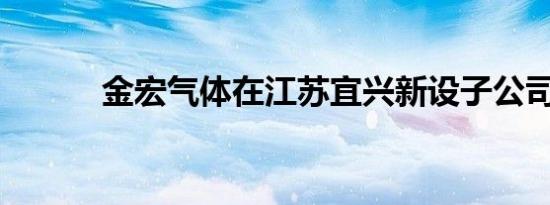 金宏气体在江苏宜兴新设子公司