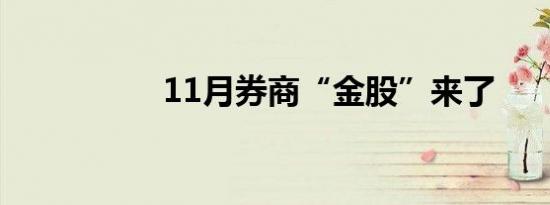 11月券商“金股”来了