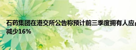 石药集团在港交所公告称预计前三季度拥有人应占溢利同比减少16%