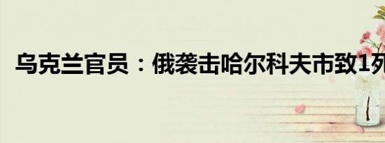 乌克兰官员：俄袭击哈尔科夫市致1死34伤