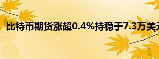 比特币期货涨超0.4%持稳于7.3万美元上方